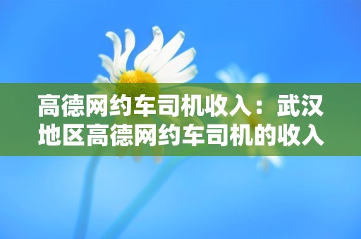 高德网约车司机收入：武汉地区高德网约车司机的收入情况及影响因素