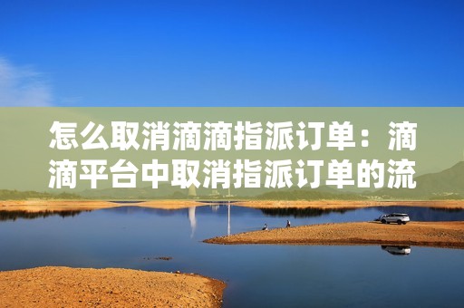 怎么取消滴滴指派订单：滴滴平台中取消指派订单的流程和步骤