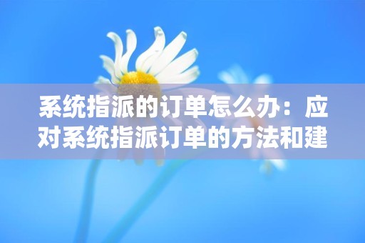 系统指派的订单怎么办：应对系统指派订单的方法和建议