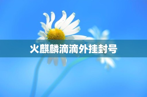 火麒麟滴滴外挂封号