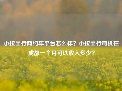 小拉出行网约车平台怎么样？小拉出行司机在成都一个月可以收入多少？