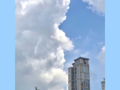 厦门携华出行分公司，携华出行是不是很坑