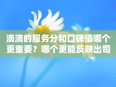 滴滴的服务分和口碑值哪个更重要？哪个更能反映出司机的好坏？