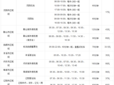 海城到沈阳桃仙机场滴滴，海城到沈阳桃仙机场滴滴车多少钱