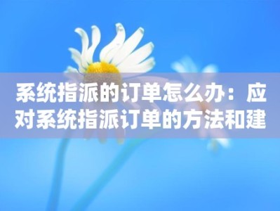 系统指派的订单怎么办：应对系统指派订单的方法和建议