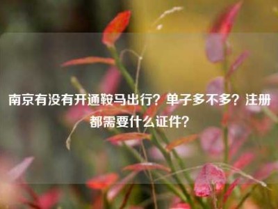 南京有没有开通鞍马出行？单子多不多？注册都需要什么证件？