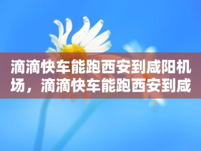 滴滴快车能跑西安到咸阳机场，滴滴快车能跑西安到咸阳机场吗多少钱