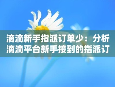 滴滴新手指派订单少：分析滴滴平台新手接到的指派订单较少的原因和解决方案