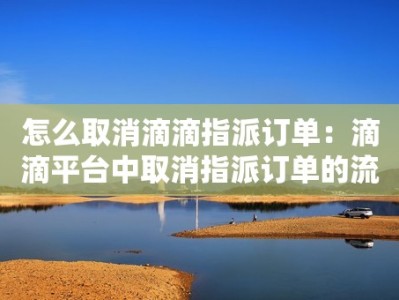 怎么取消滴滴指派订单：滴滴平台中取消指派订单的流程和步骤