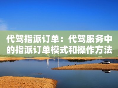 代驾指派订单：代驾服务中的指派订单模式和操作方法