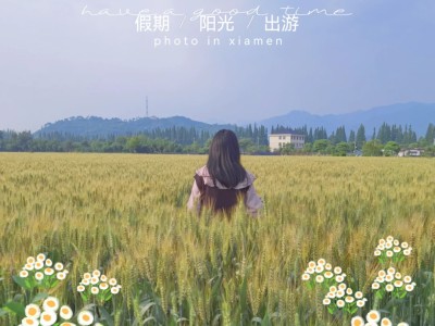 麦田出行跟携华出行哪个用得多，携华出行提现规则