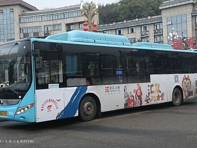 南充风韵出行，风韵出行注册车主