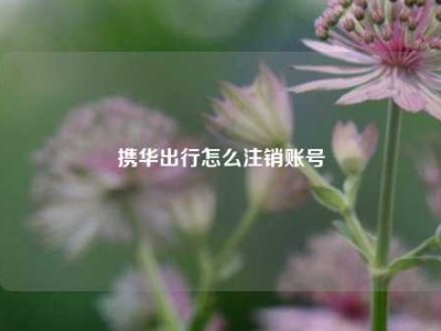 携华出行怎么注销账号