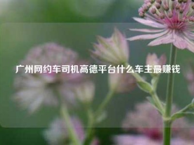 广州网约车司机高德平台什么车主最赚钱