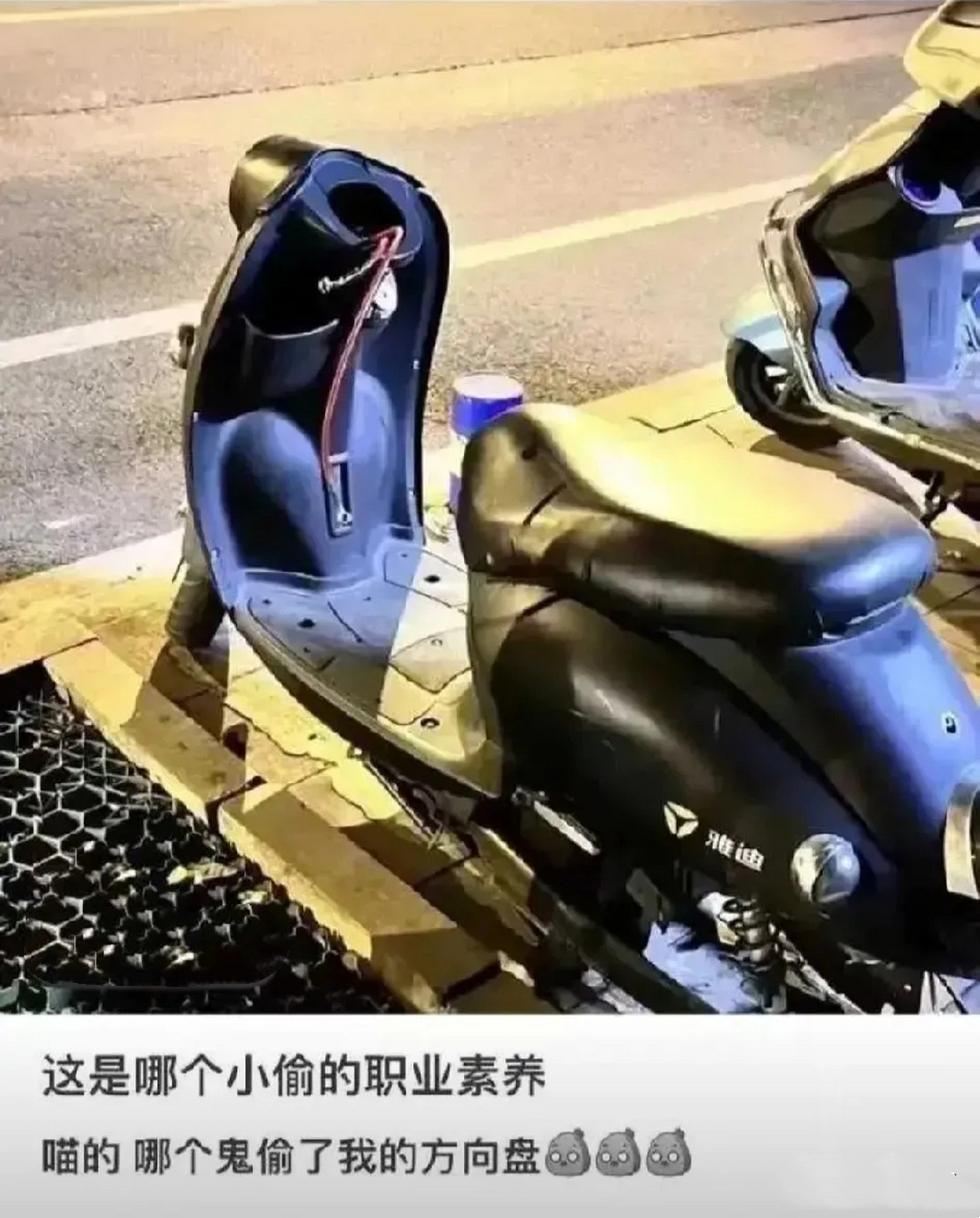 哈啰顺风车司机女友抢方向盘咬伤乘客，哈啰顺风车司机女友抢方向盘咬伤乘客一