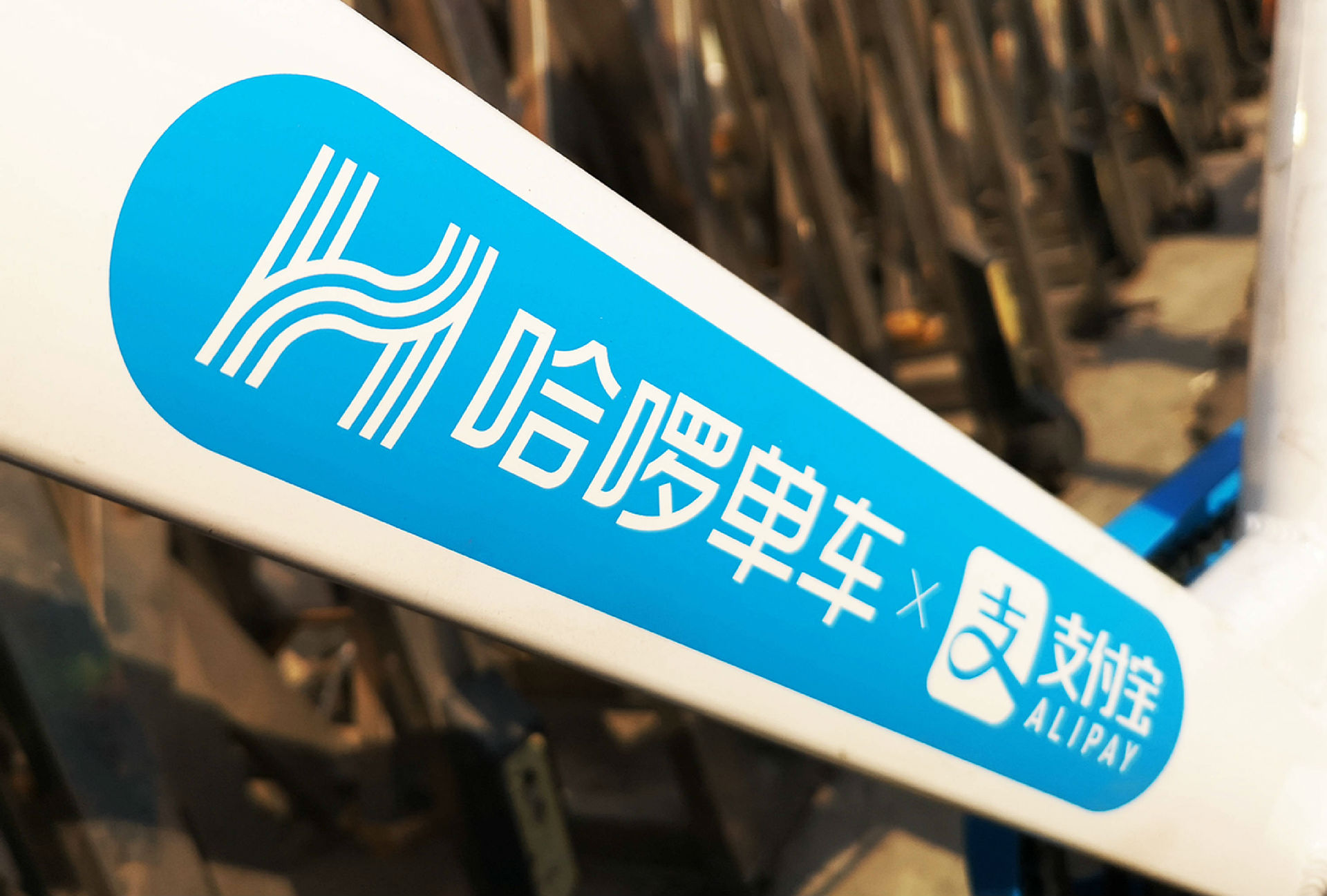 哈啰顺风车一发布秒抢，新的哈啰顺风车抢单神器