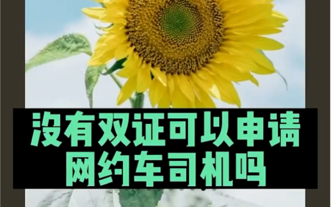 湛江机场滴滴网约车怎样办理，湛江机场在哪里接人