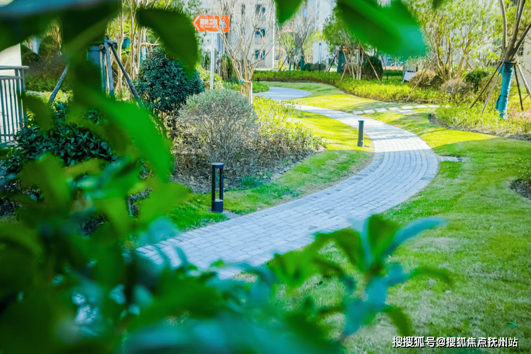 携华出行单价多少，携华出行怎么样?