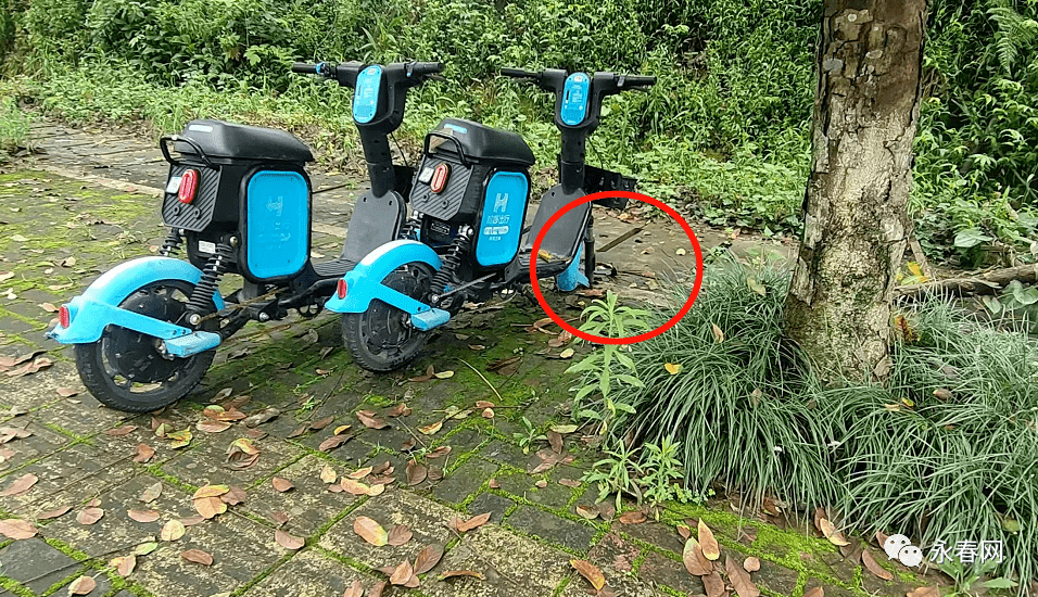 乘哈啰顺风车遭**，哈啰顺风车车主会被抓吗