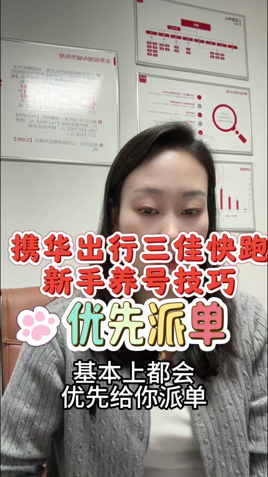 携华出行哪个平台好用，携华出行是什么车型