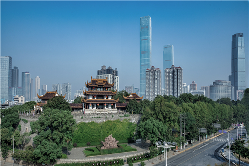 携华出行是湖南长沙的吗，携华出行公司简介