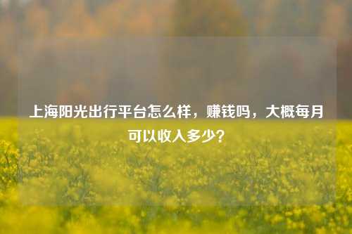 上海阳光出行平台怎么样，赚钱吗，大概每月可以收入多少？