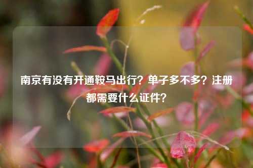 南京有没有开通鞍马出行？单子多不多？注册都需要什么证件？