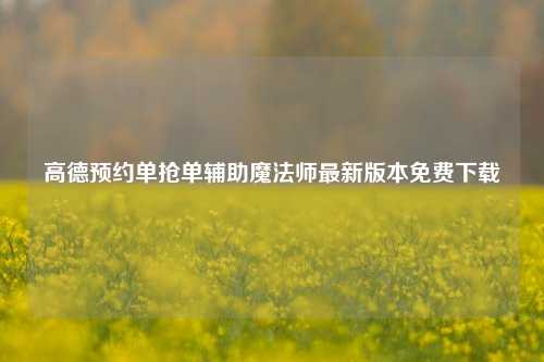 高德预约单抢单辅助魔法师最新版本免费下载