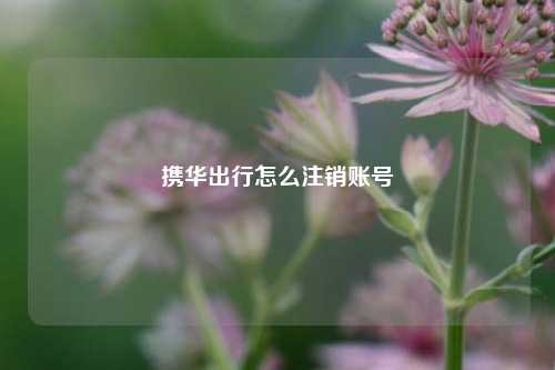 携华出行怎么注销账号