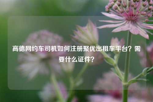 高德网约车司机如何注册聚优出租车平台？需要什么证件？