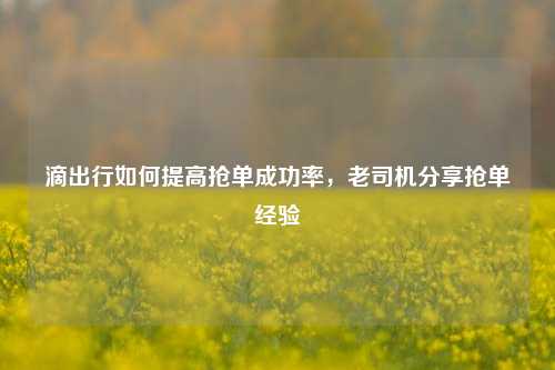 滴出行如何提高抢单成功率，老司机分享抢单经验