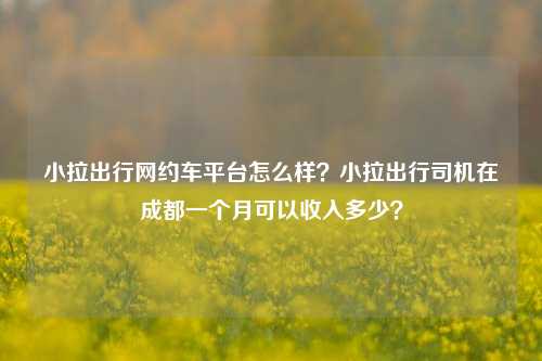 小拉出行网约车平台怎么样？小拉出行司机在成都一个月可以收入多少？